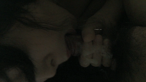 file52fcc.gif