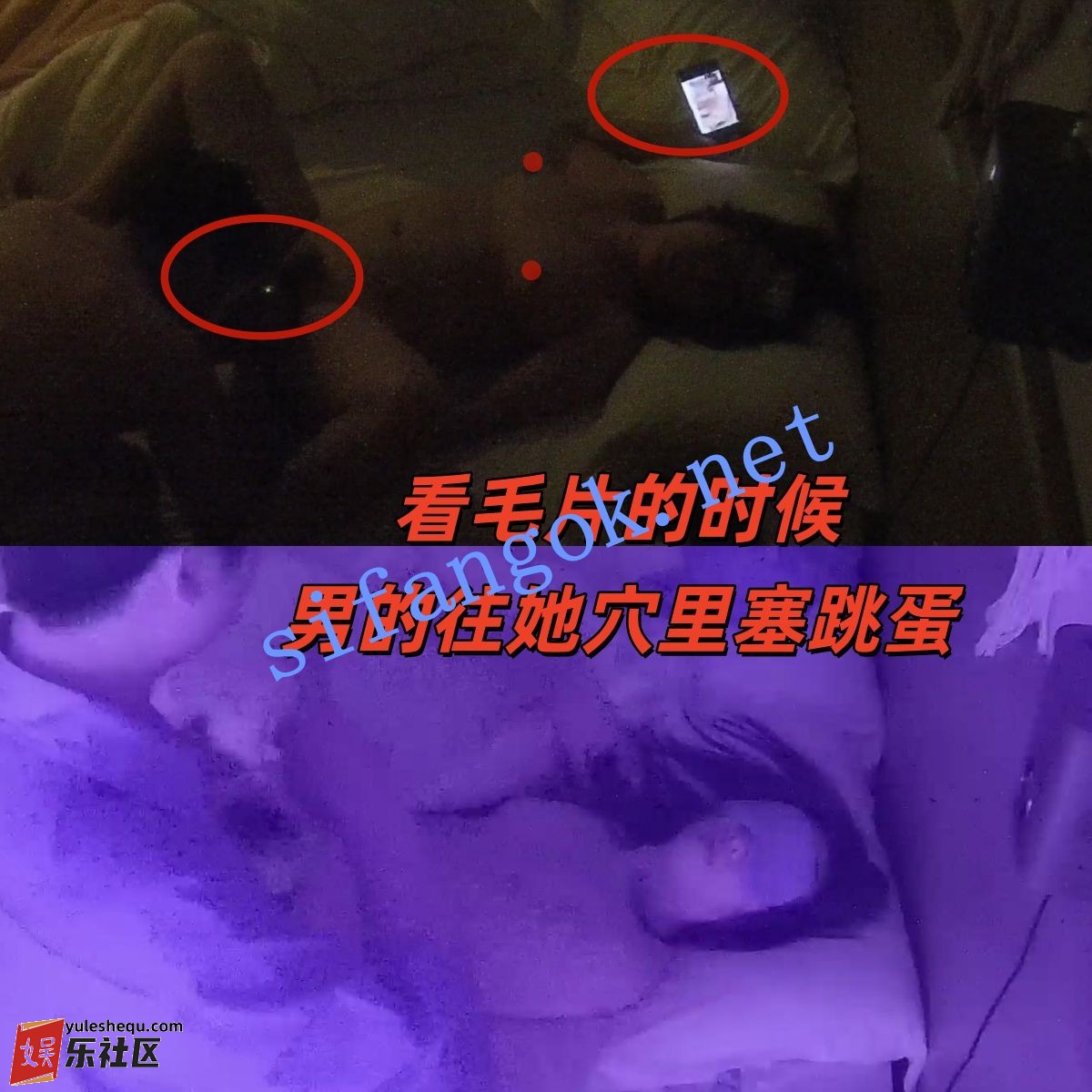 151305zzqft5cwy65z2qfe.jpg