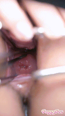 171403cstc64ht46mf0sz1.gif