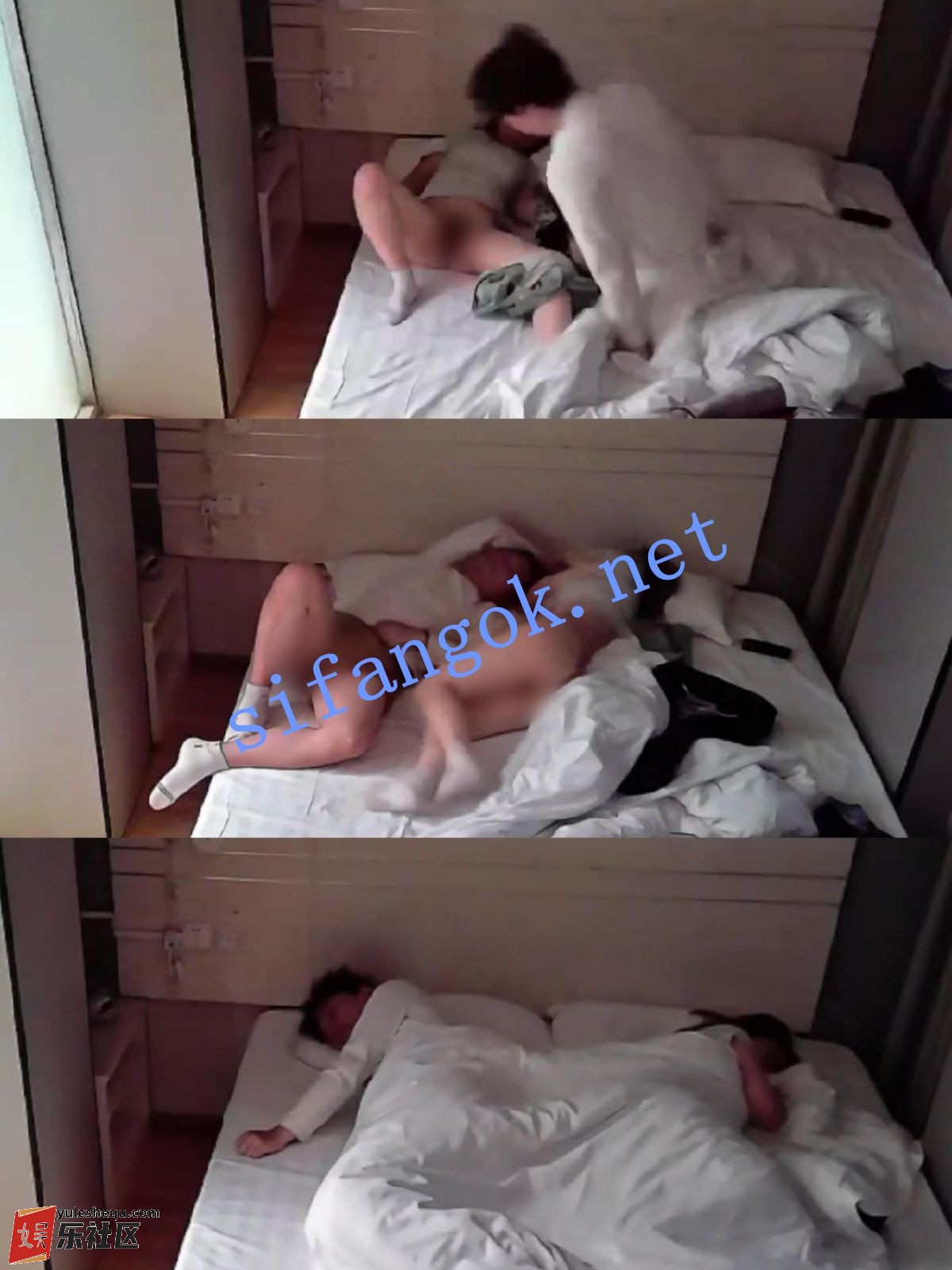 021031ppbbfhddwxx44pjy.jpg
