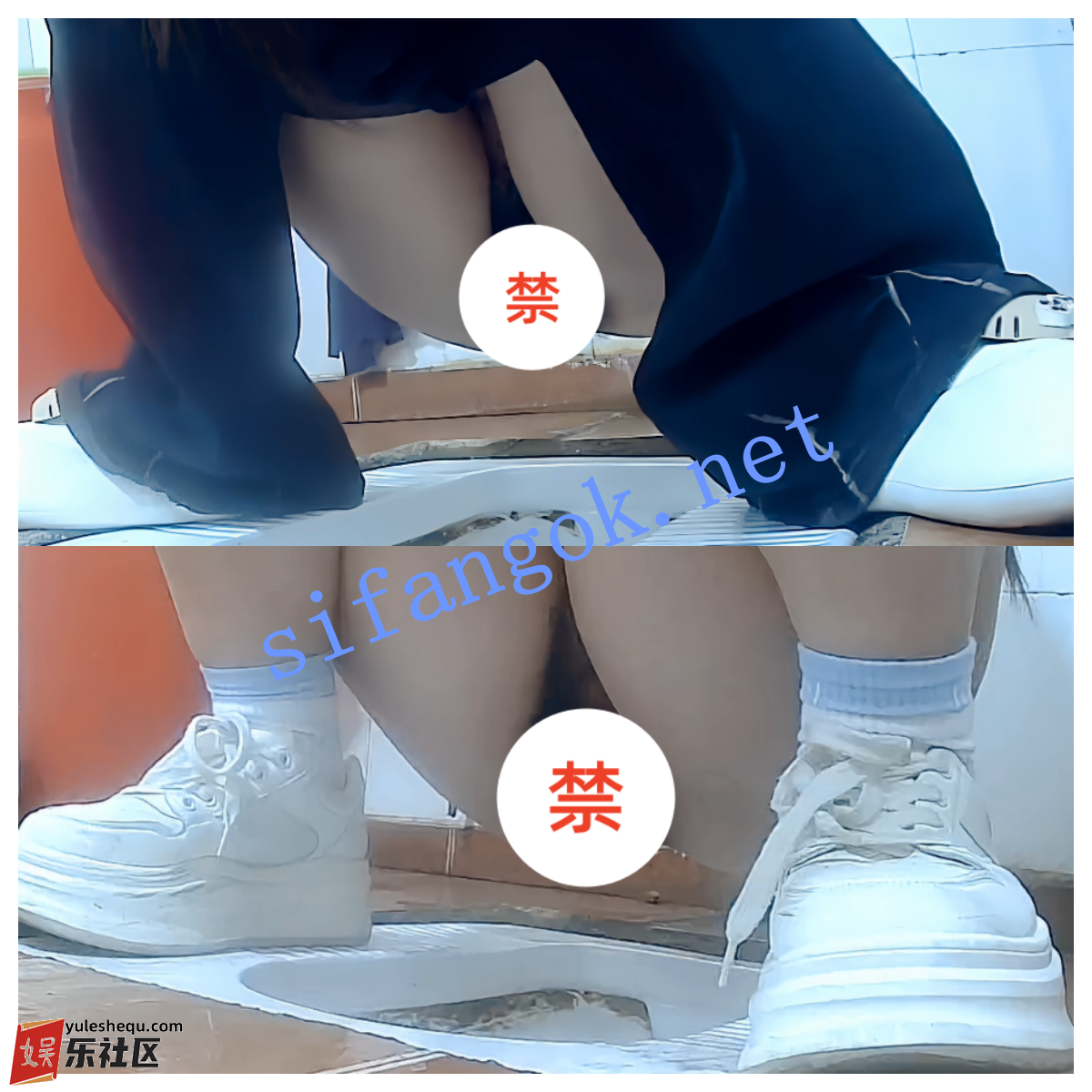 222002mv7izseknpgknkg9.png
