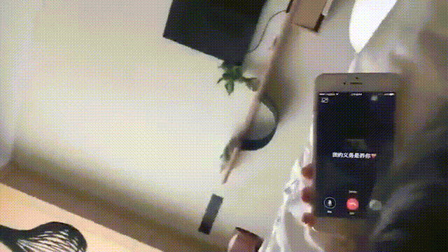203427f988z8fmlammy7al.gif