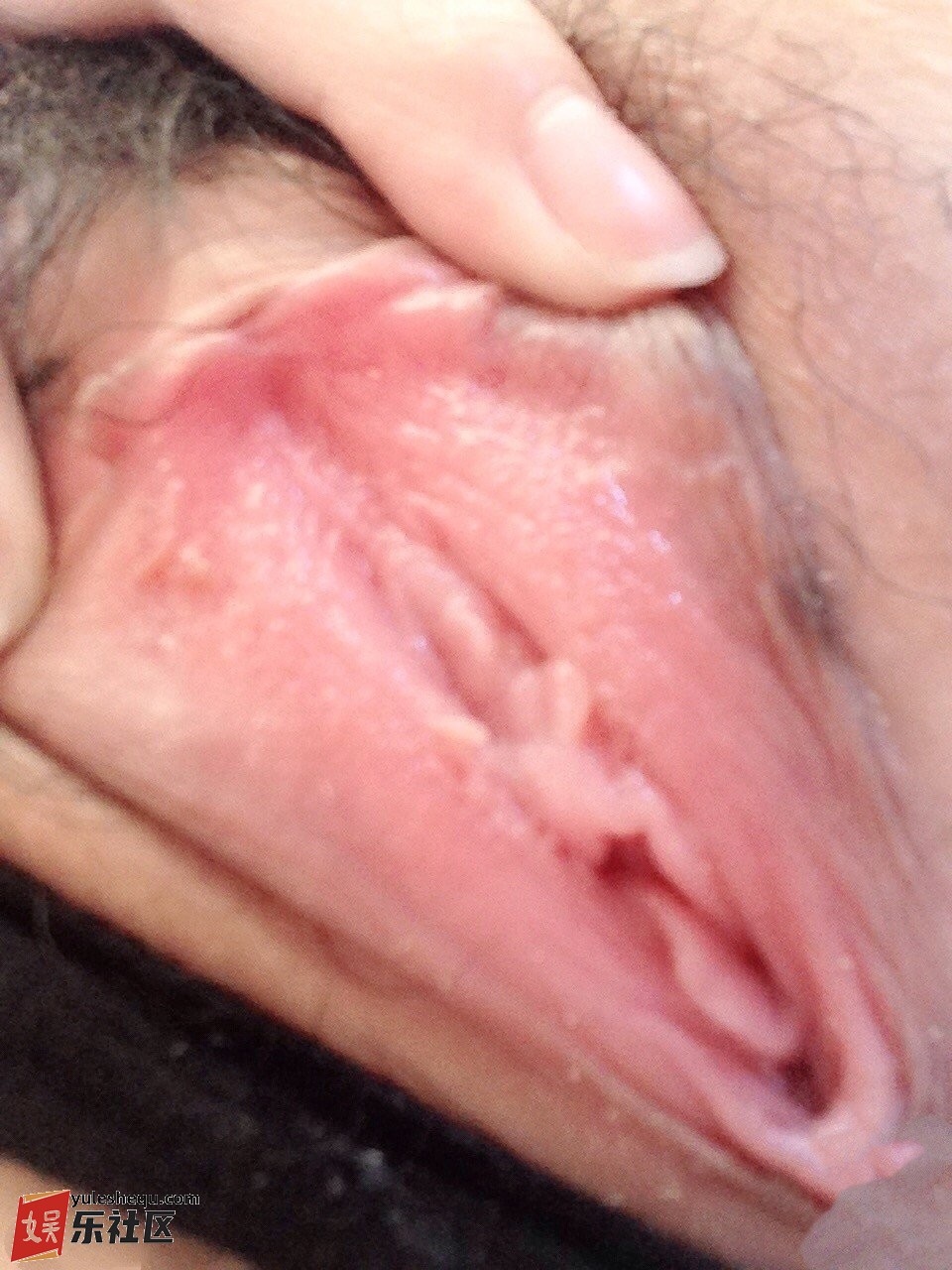 fileb6615.jpg